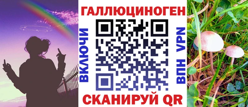 магазин продажи   Губкинский  Псилоцибиновые грибы GOLDEN TEACHER 